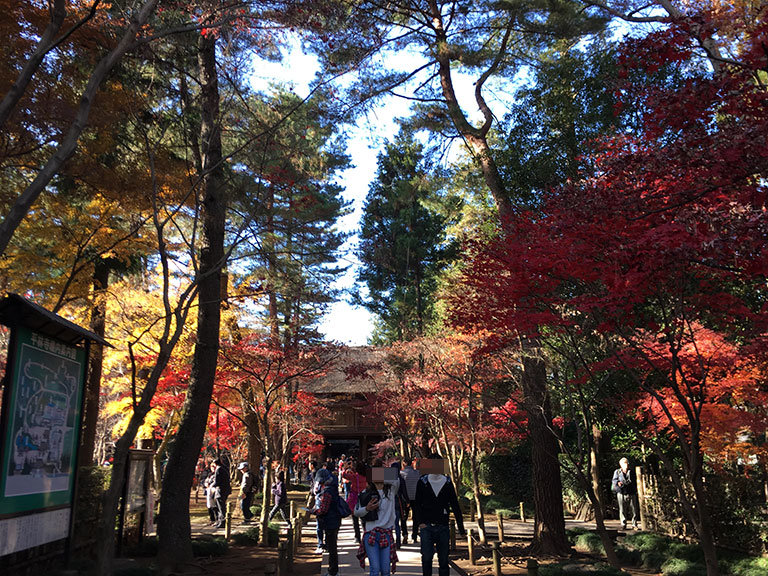 平林寺