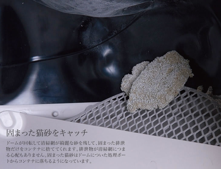 キャットロボット