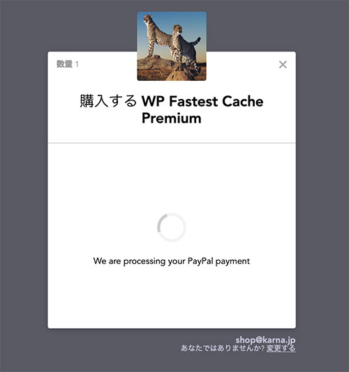 WP-Fast-Cache